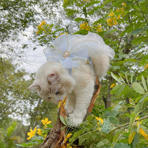 Layered Yarn Pet Leash For Comfortable Walking