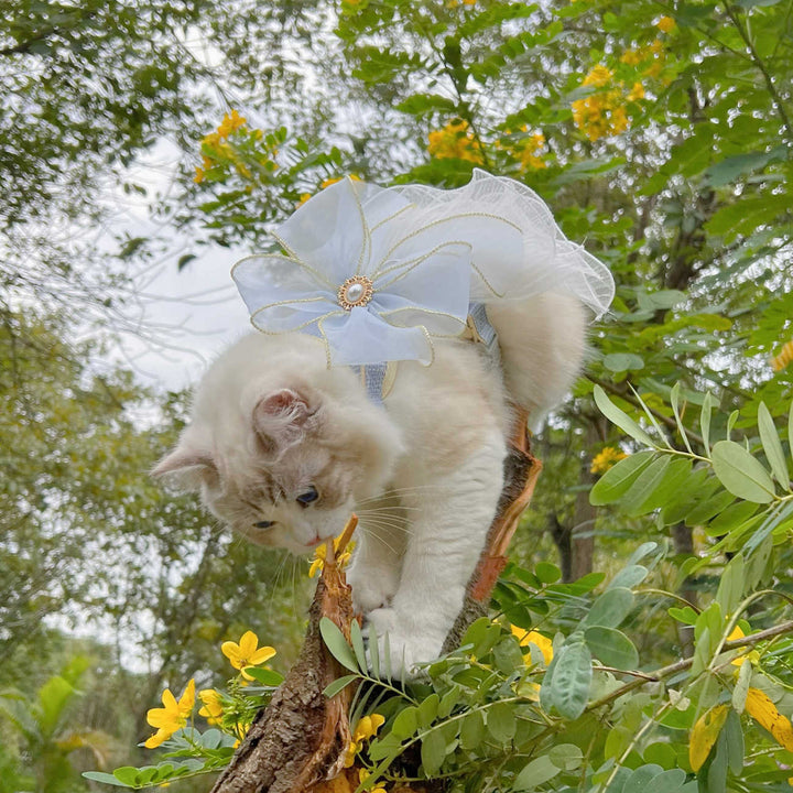 Layered Yarn Pet Leash For Comfortable Walking